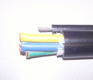 手柄、电动葫芦与自承式钢索电缆的控制技术及应用
